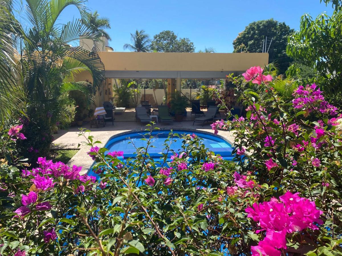 Zandoyo Bed & Breakfast Puerto Escondido  Eksteriør billede