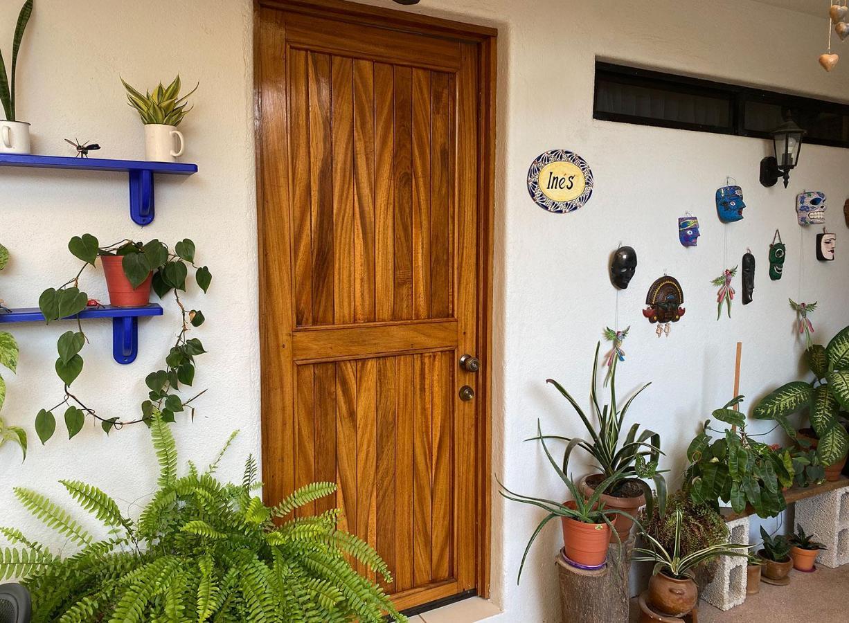 Zandoyo Bed & Breakfast Puerto Escondido  Eksteriør billede